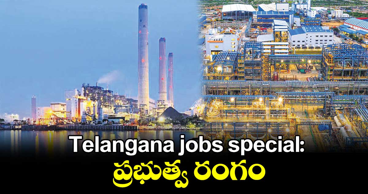 Telangana jobs special: ప్రభుత్వ రంగం