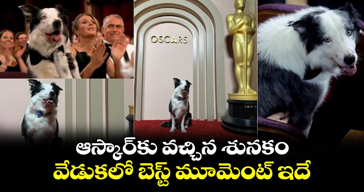 Oscars 2024 Messi: ఆస్కార్కు వచ్చిన శునకం..వేడుకలో బెస్ట్ మూమెంట్ ఇదే