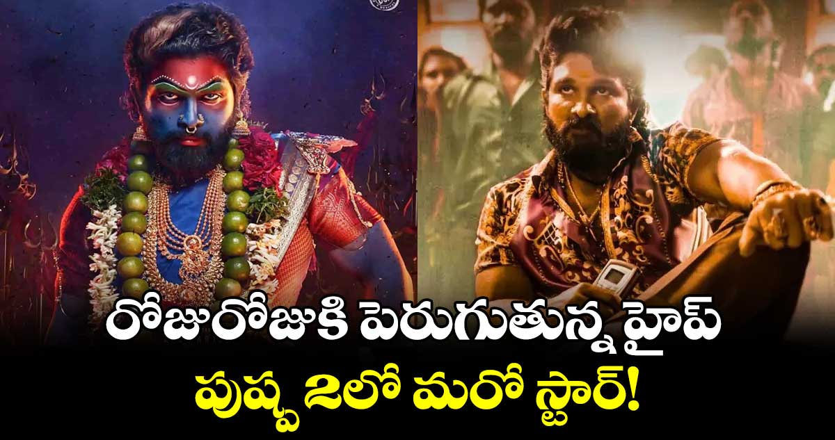 Pushpa 2: రోజురోజుకి పెరుగుతున్న హైప్.. పుష్ప 2లో మరో స్టార్!