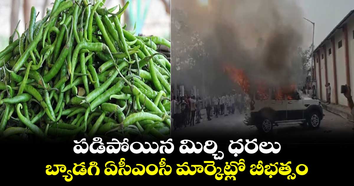  ప‌డిపోయిన మిర్చి ధ‌ర‌లు… బ్యాడగి ఏసీఎంసీ మార్కెట్లో బీభత్సం