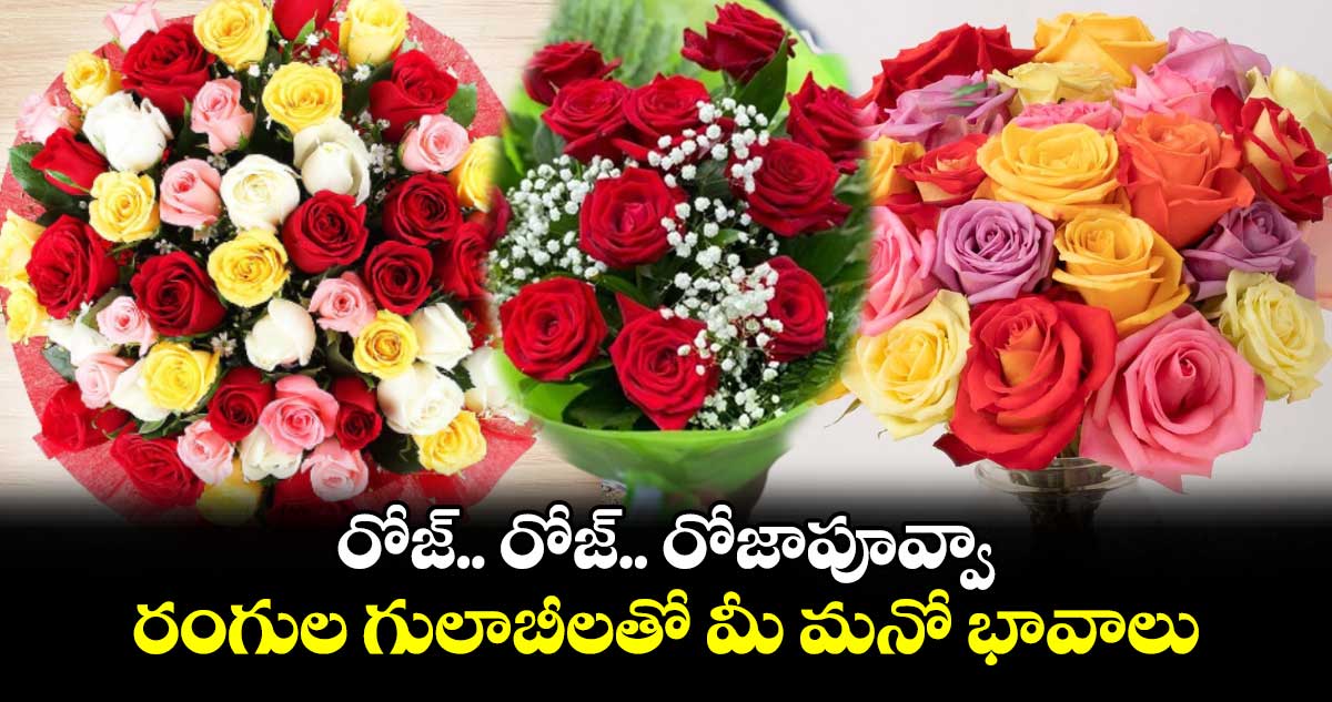 రోజ్.. రోజ్.. రోజాపూవ్వా.. రంగుల గులాబీలతో మీ మనో భావాలు