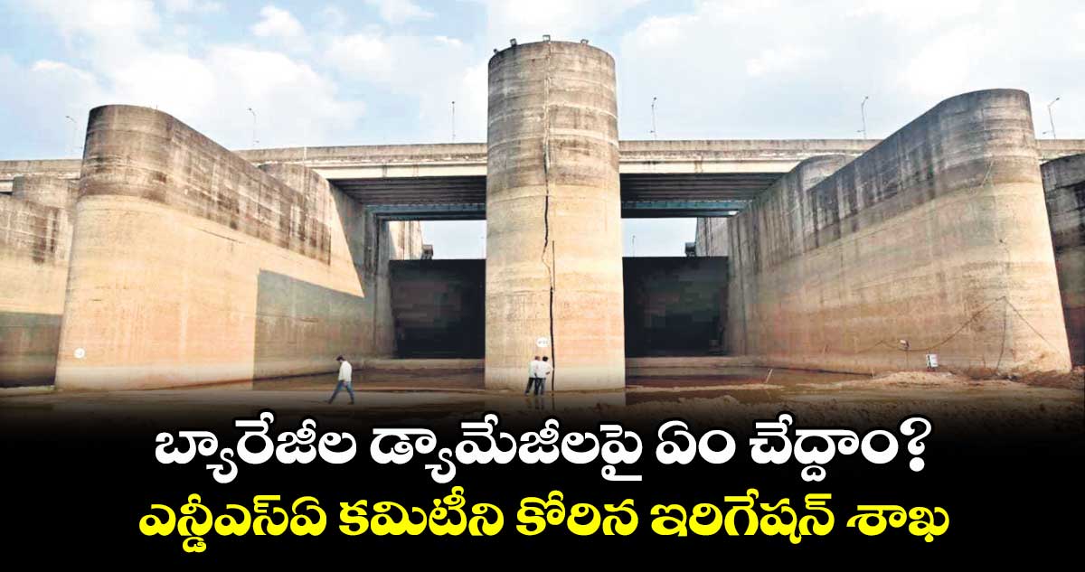 బ్యారేజీల డ్యామేజీలపై ఏం చేద్దాం?.ఎన్డీఎస్ఏ కమిటీని కోరిన ఇరిగేషన్ శాఖ