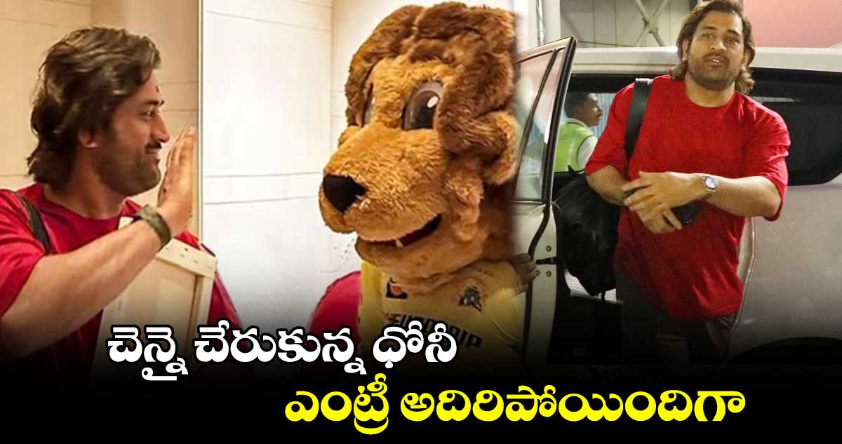 IPL 2024: చెన్నై చేరుకున్న ధోనీ.. ఎంట్రీ అదిరిపోయిందిగా