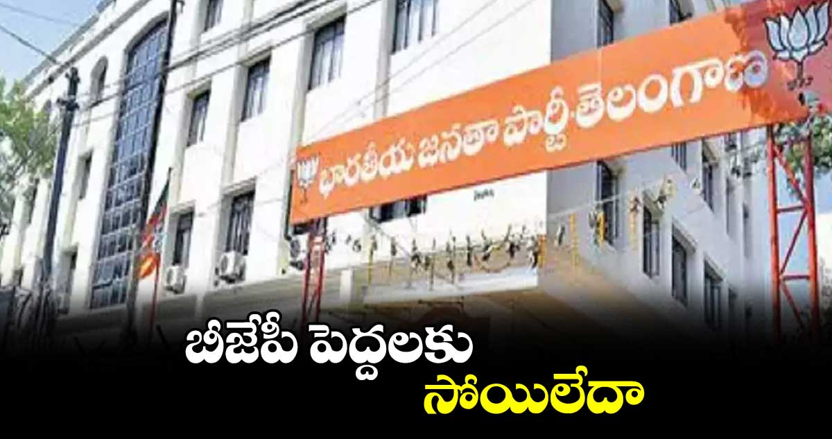 బీజేపీ పెద్దలకు సోయిలేదా : సంకినేని వెంకటేశ్వరరావు