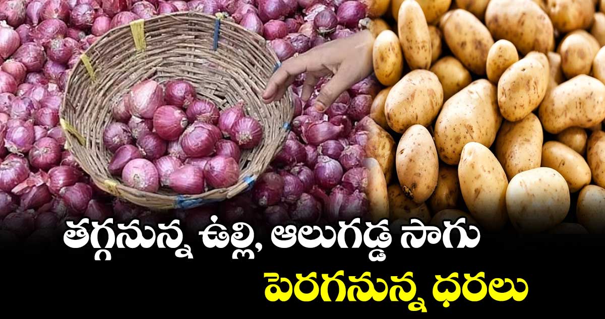 తగ్గనున్న ఉల్లి, ఆలుగడ్డ సాగు.. పెరగనున్న ధరలు