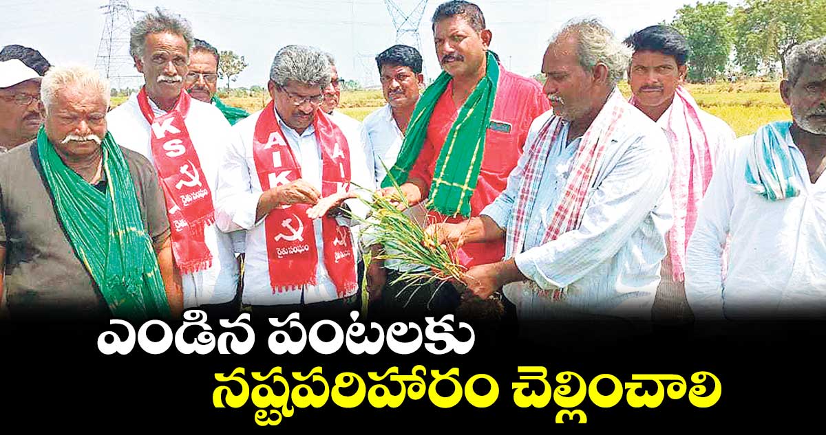 ఎండిన పంటలకు నష్టపరిహారం చెల్లించాలి : పోతినేని సుదర్శన్​