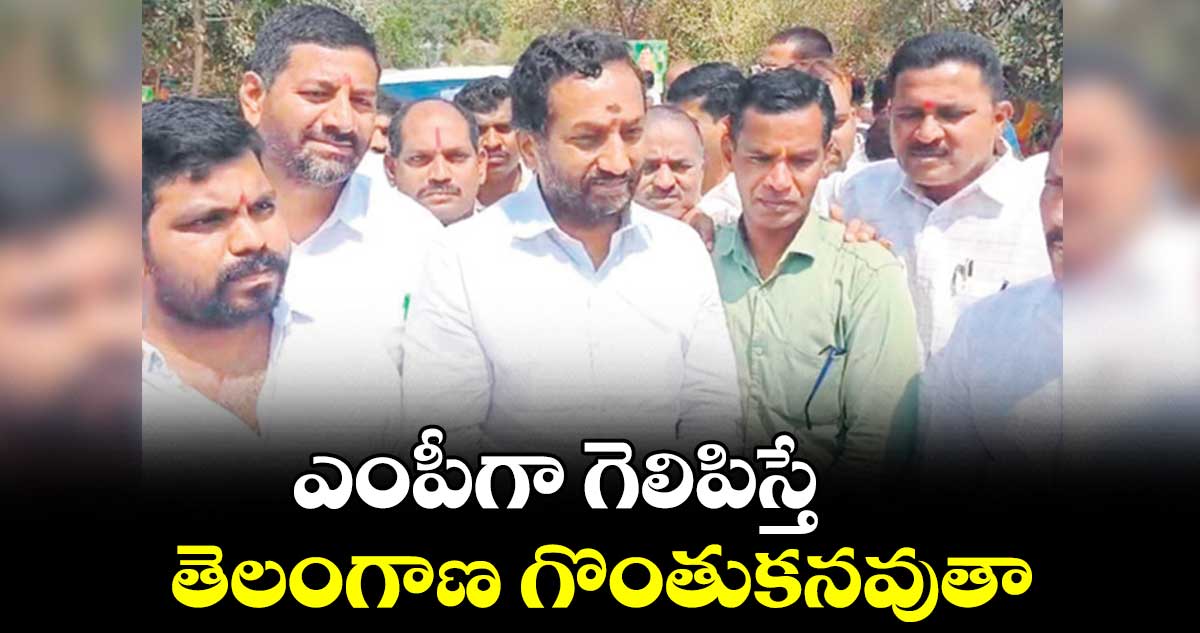 ఎంపీగా గెలిపిస్తే తెలంగాణ గొంతుకనవుతా : రఘునందన్ రావు