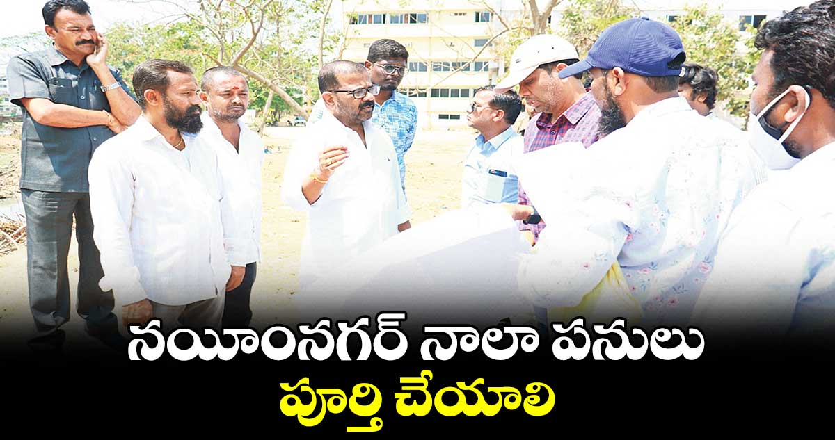 నయీంనగర్ నాలా పనులు పూర్తి చేయాలి : నాయిని రాజేందర్ రెడ్డి