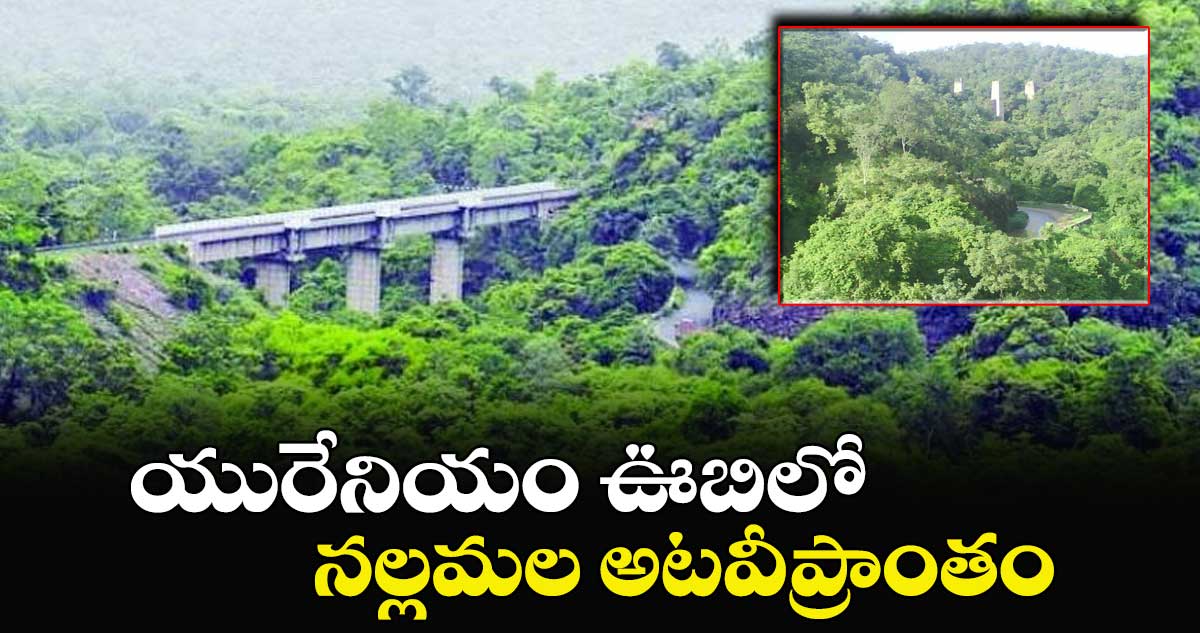 యురేనియం ఊబిలో నల్లమల అటవీప్రాంతం