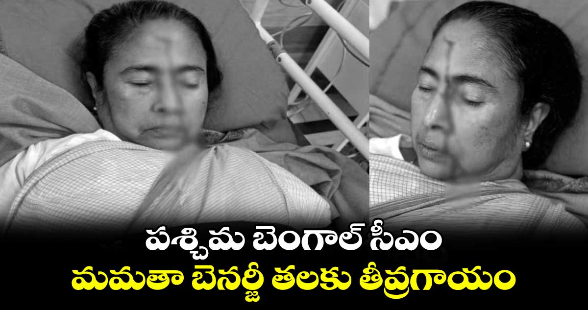 పశ్చిమ బెంగాల్ సీఎం మమతా బెనర్జీ తలకు తీవ్రగాయం