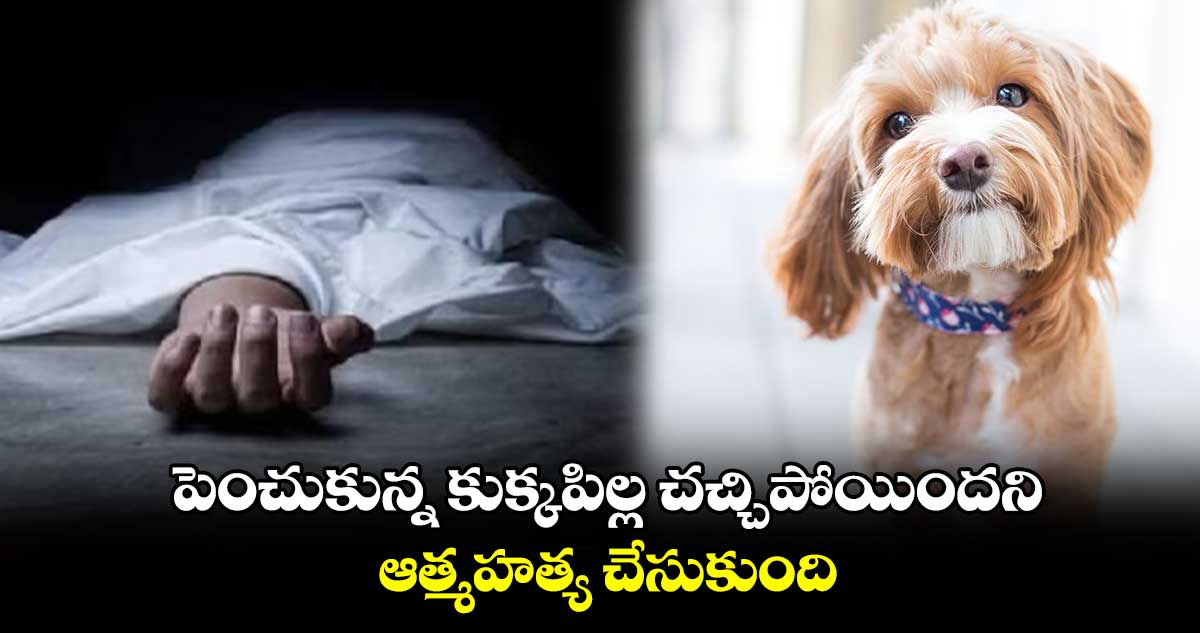 పెంచుకున్న కుక్కపిల్ల చచ్చిపోయిందని ఆత్మహత్య చేసుకుంది