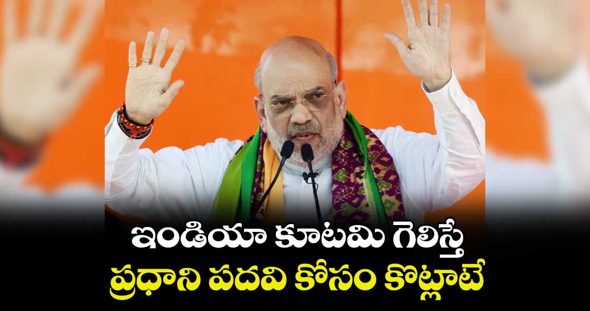 ఇండియా కూటమి గెలిస్తే.. ప్రధాని పదవి కోసం కొట్లాటే : అమిత్ షా