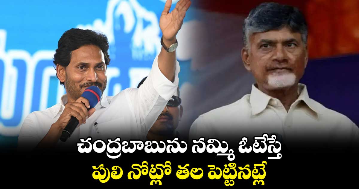 చంద్రబాబును నమ్మి ఓటేస్తే పులి నోట్లో తల పెట్టినట్లే: సీఎం జగన్‌