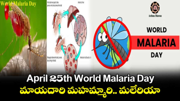 April 25th World  Malaria  Day : మాయదారి మహమ్మారి.. మలేరియా