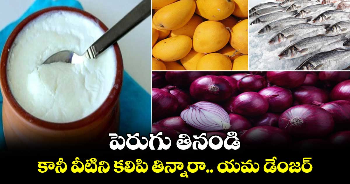 Good Health: పెరుగు తినండి ..కానీ వీటిని కలిపి తిన్నారా.. యమ డేంజర్​