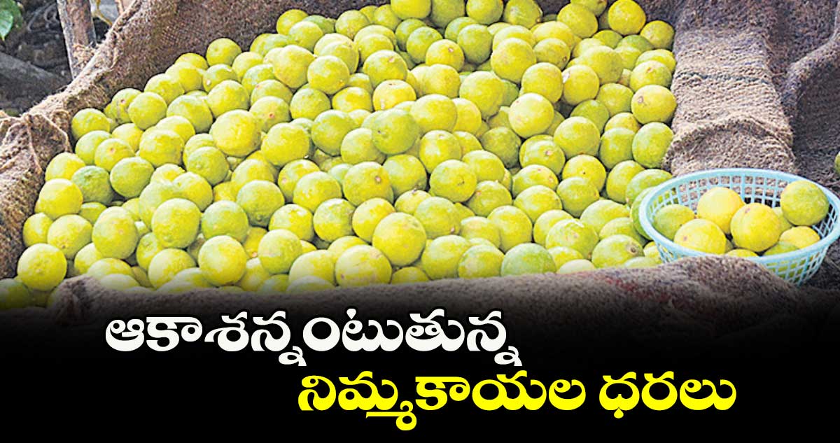ఆకాశన్నంటుతున్న నిమ్మకాయల ధరలు