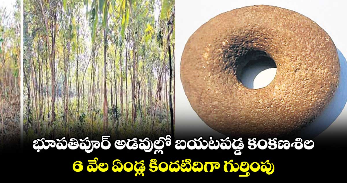 భూపతిపూర్ అడవుల్లో బయటపడ్డ కంకణశిల: 6 వేల ఏండ్ల కిందటిదిగా గుర్తింపు