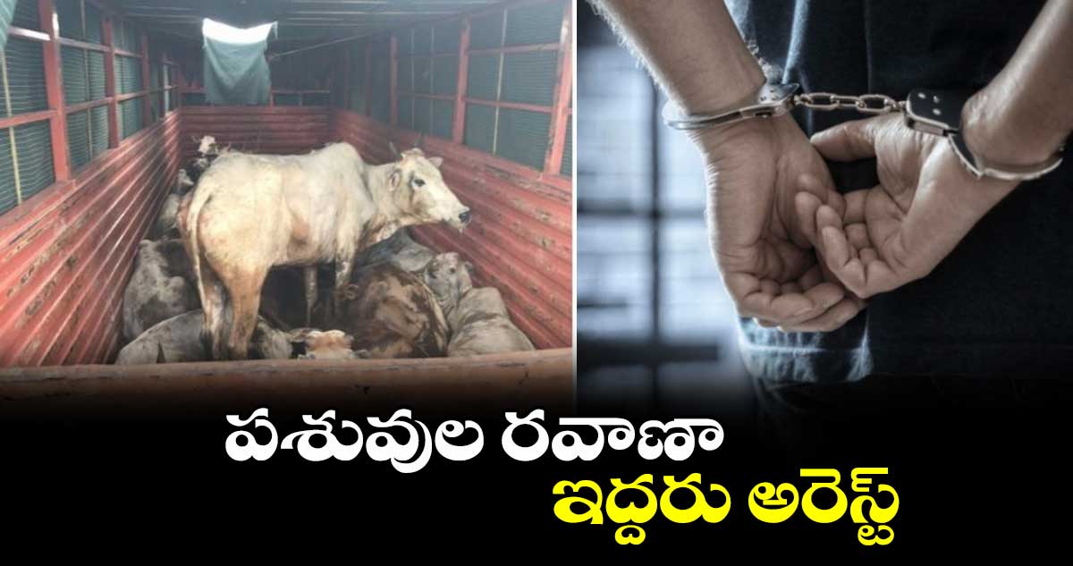 పశువుల రవాణా.. ఇద్దరు అరెస్ట్