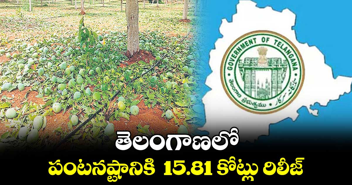 తెలంగాణలో పంటనష్టానికి  15.81 కోట్లు రిలీజ్