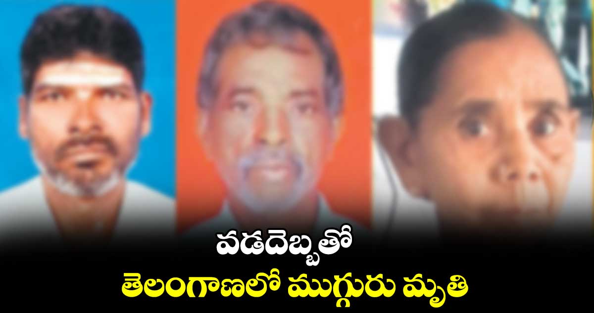 వడదెబ్బతో తెలంగాణలో ముగ్గురు మృతి