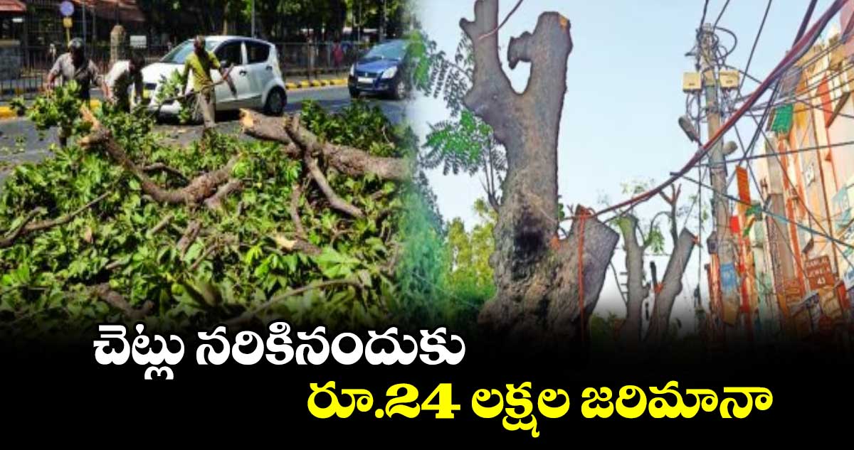 చెట్లు నరికినందుకు రూ.24 లక్షల జరిమానా
