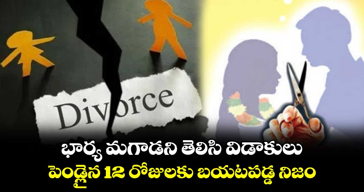 భార్య మగాడని తెలిసి విడాకులు..పెండ్లైన 12 రోజులకు బయటపడ్డ నిజం