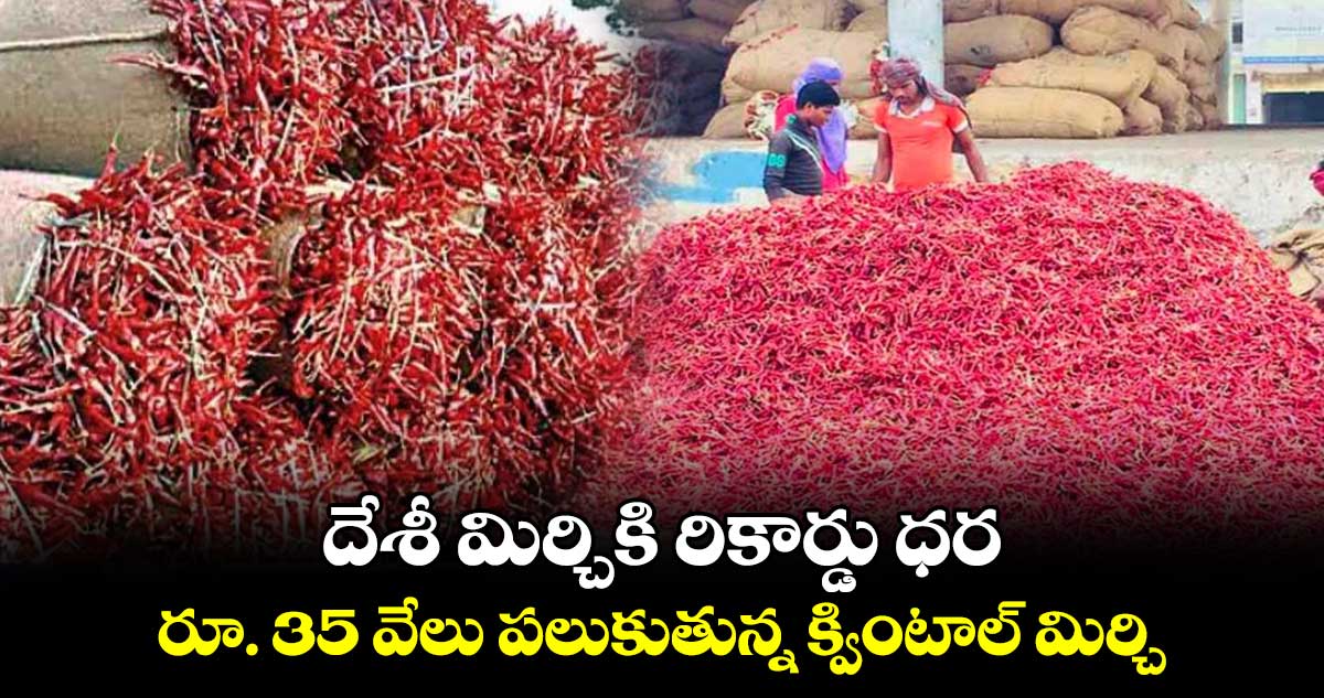 రూ. 35 వేలు పలుకుతున్న క్వింటాల్‌‌‌‌ మిర్చి 