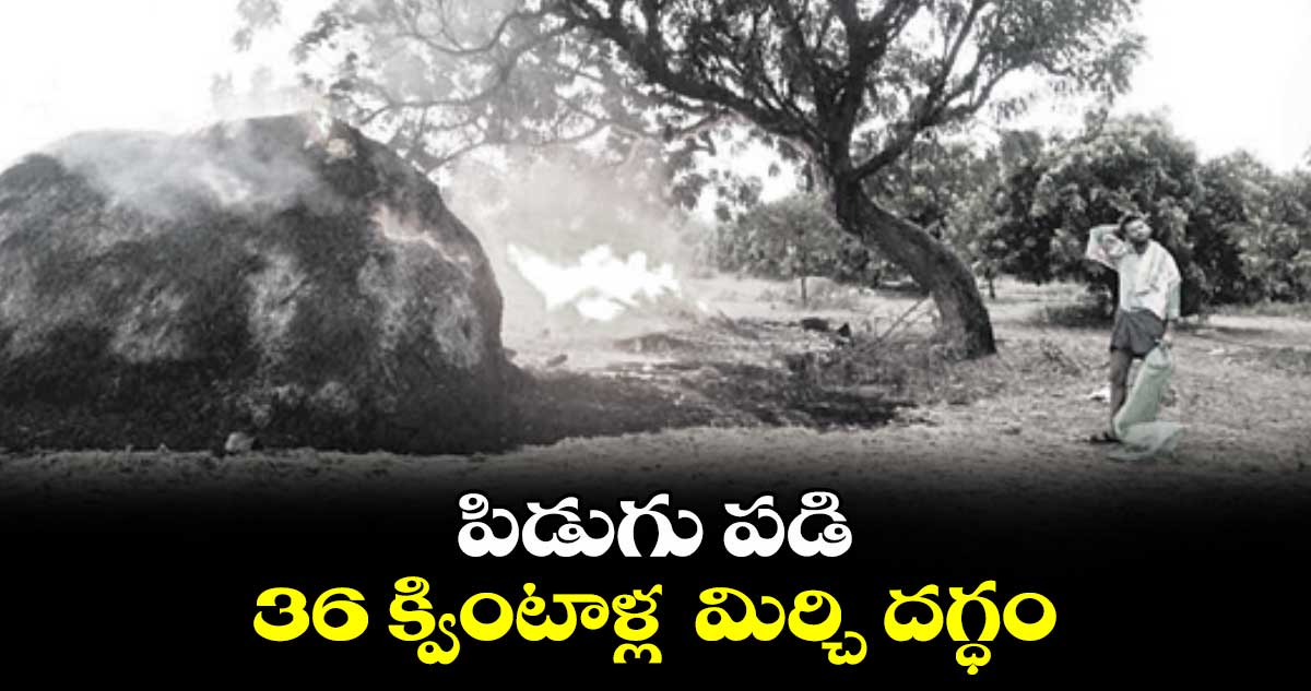 పిడుగు పడి 36 క్వింటాళ్ల  మిర్చి దగ్ధం