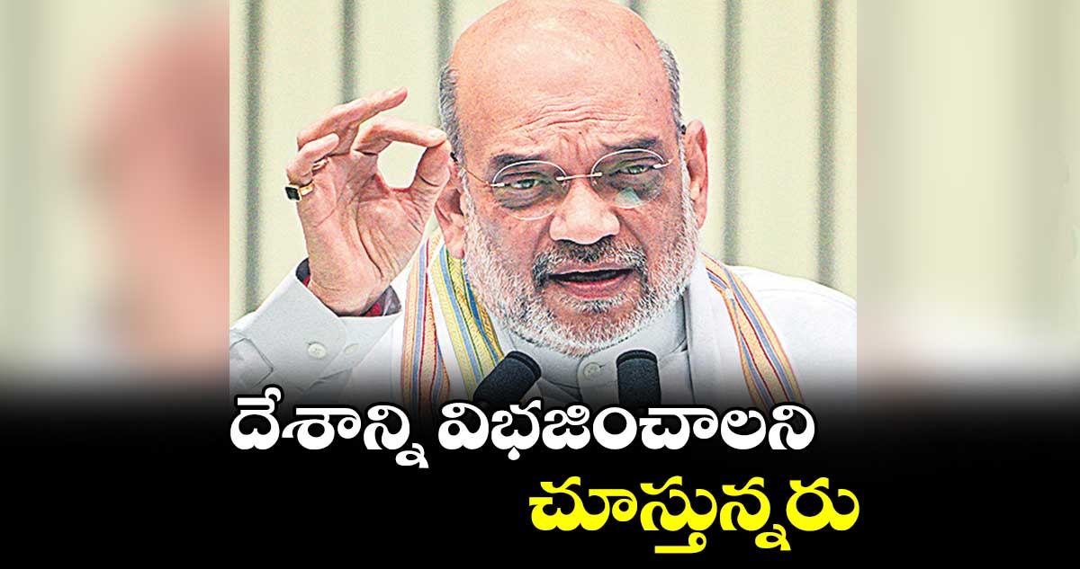 దేశాన్ని విభజించాలని చూస్తున్నరు : అమిత్ షా