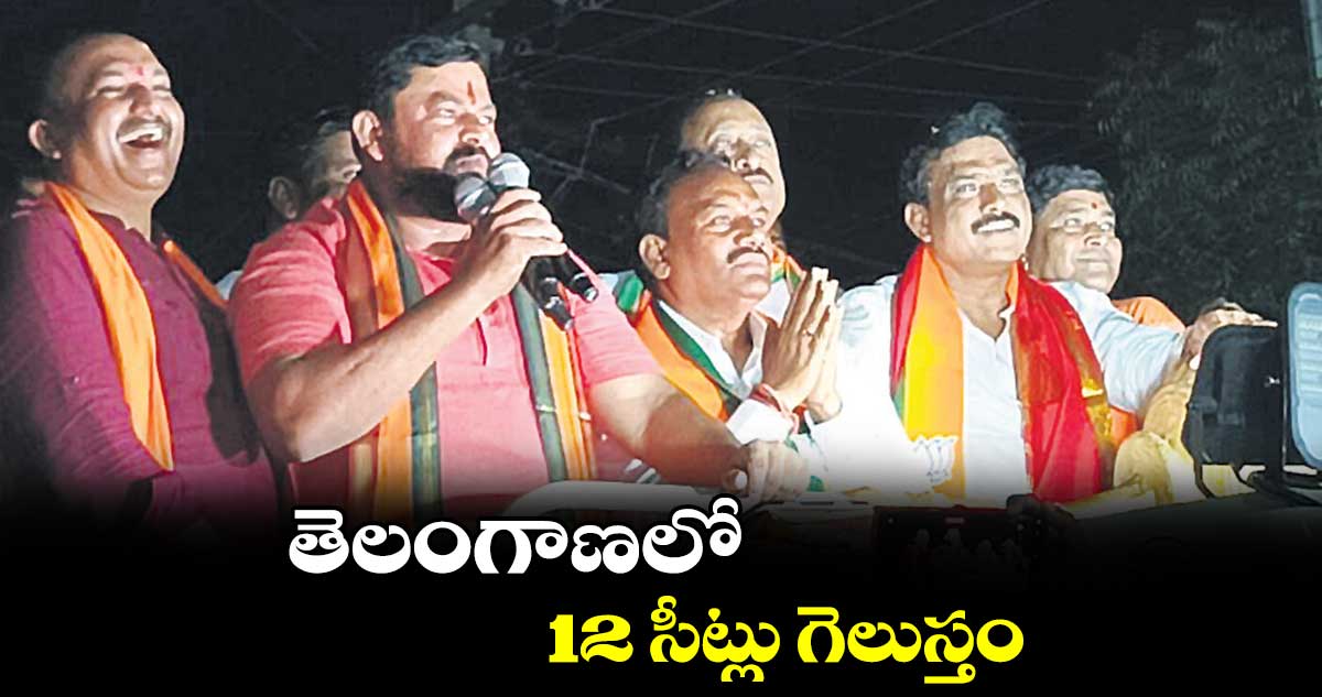 తెలంగాణలో 12 సీట్లు గెలుస్తం : ఎమ్మెల్యే రాజాసింగ్‌‌‌‌