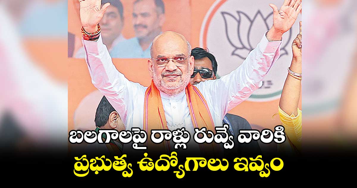 బలగాలపై రాళ్లు రువ్వే వారికి ప్రభుత్వ ఉద్యోగాలు ఇవ్వం: అమిత్​ షా