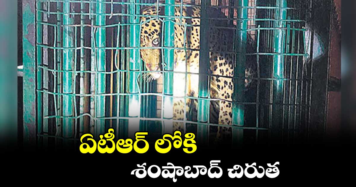 ఏటీఆర్ లోకి శంషాబాద్  చిరుత