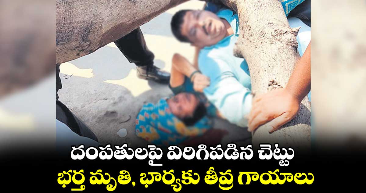 దంపతులపై విరిగిపడిన చెట్టు .. భర్త మృతి, భార్యకు తీవ్ర గాయాలు