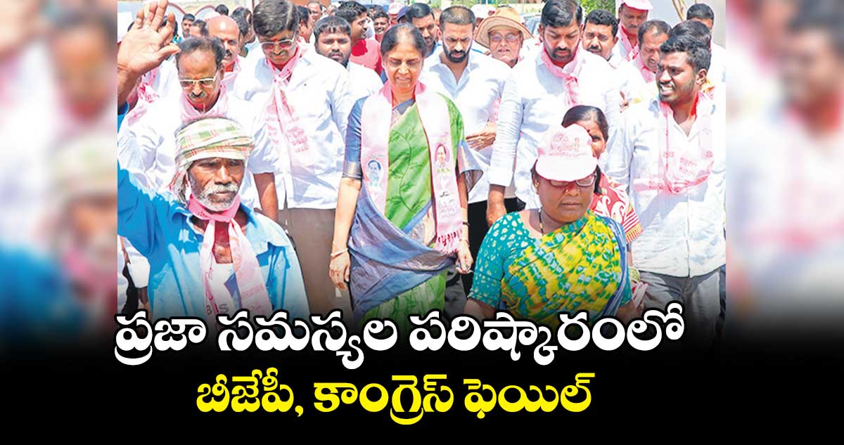 ప్రజా సమస్యల పరిష్కారంలో బీజేపీ, కాంగ్రెస్ ఫెయిల్​: సబితా