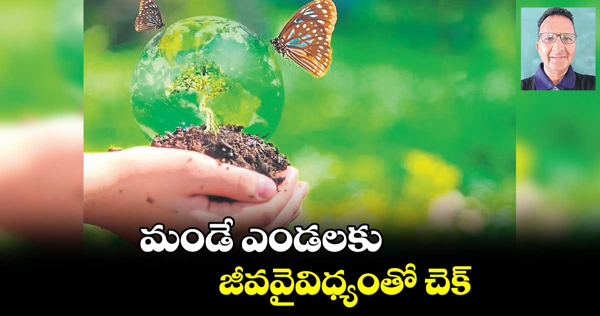 మండే ఎండలకు జీవవైవిధ్యంతో చెక్