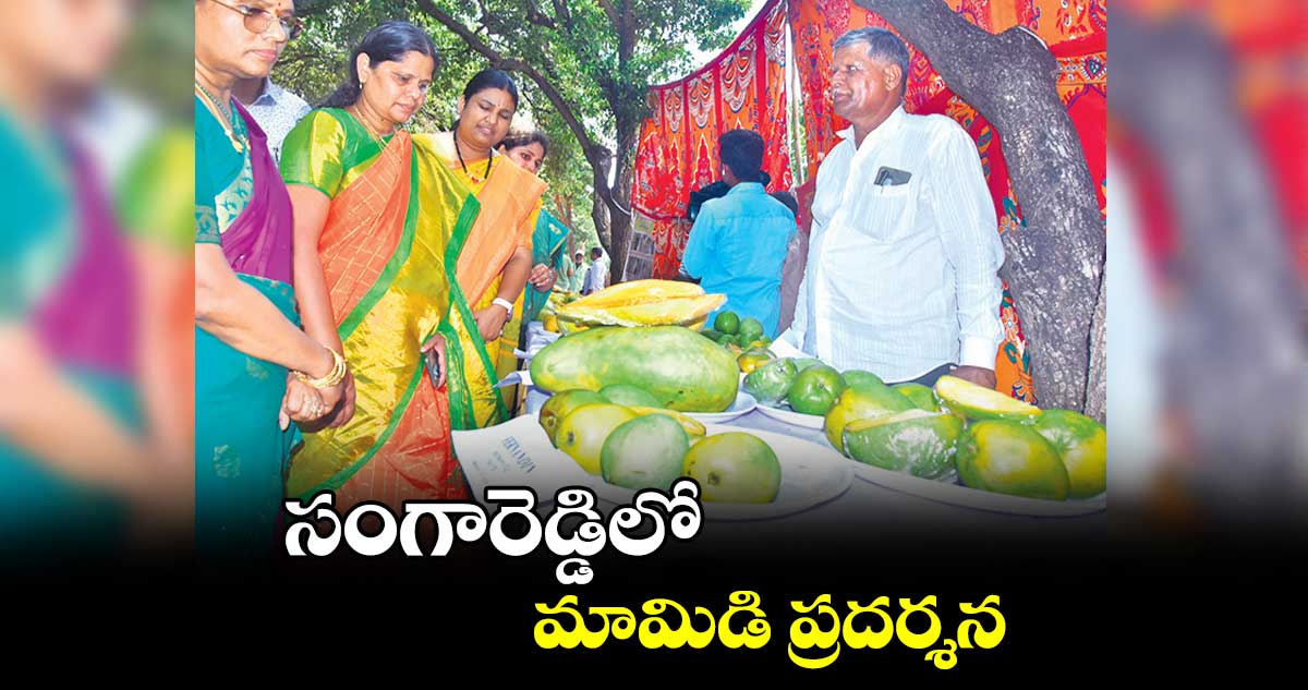 సంగారెడ్డిలో మామిడి ప్రదర్శన