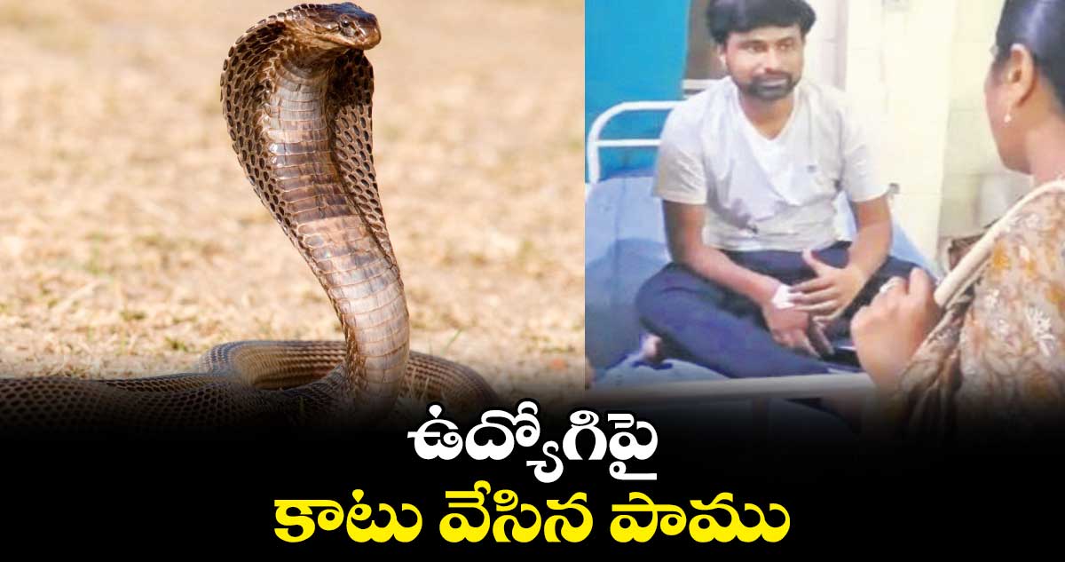 ఉద్యోగిపై కాటు వేసిన పాము