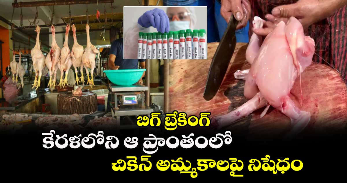 బిగ్ బ్రేకింగ్ : కేరళలోని ఆ ప్రాంతంలో చికెన్ అమ్మకాలపై నిషేధం..