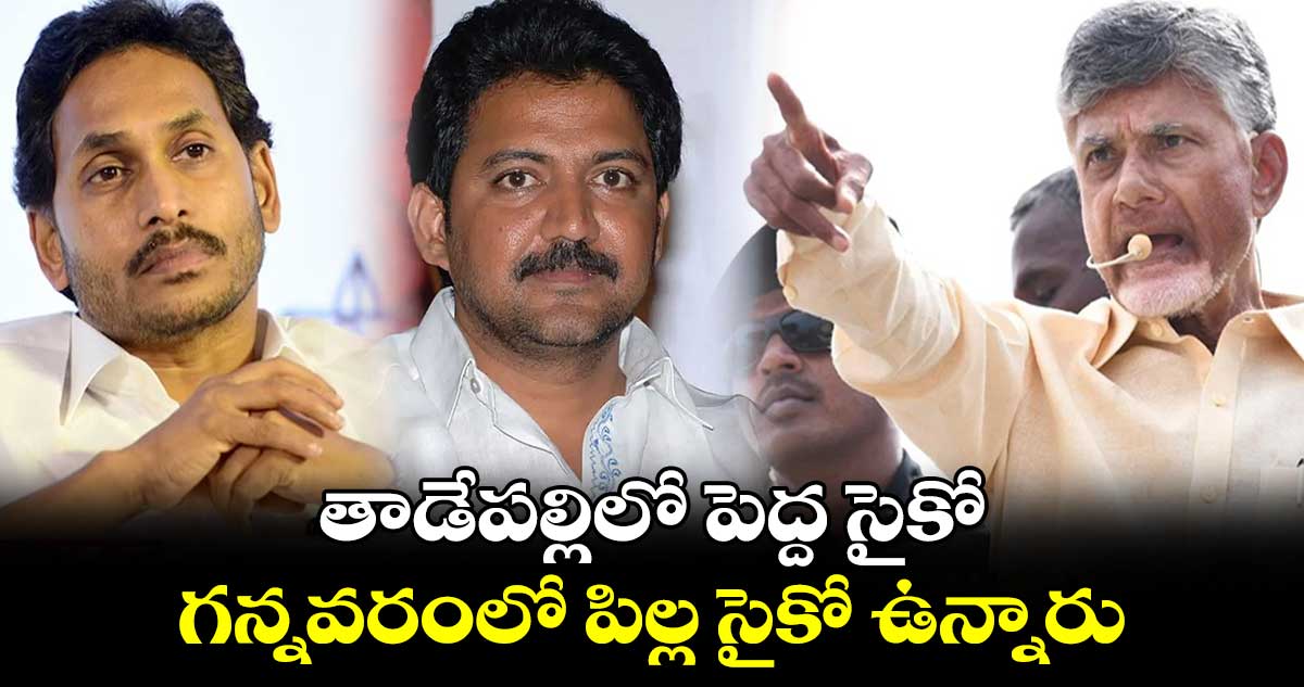 తాడేపల్లిలో పెద్ద సైకో.. గన్నవరంలో పిల్ల సైకో ఉన్నారు.. చంద్రబాబు 