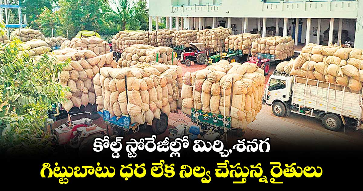 కోల్డ్​ స్టోరేజీల్లో మిర్చి, శనగ.. గిట్టుబాటు ధర లేక నిల్వ చేస్తున్న రైతులు