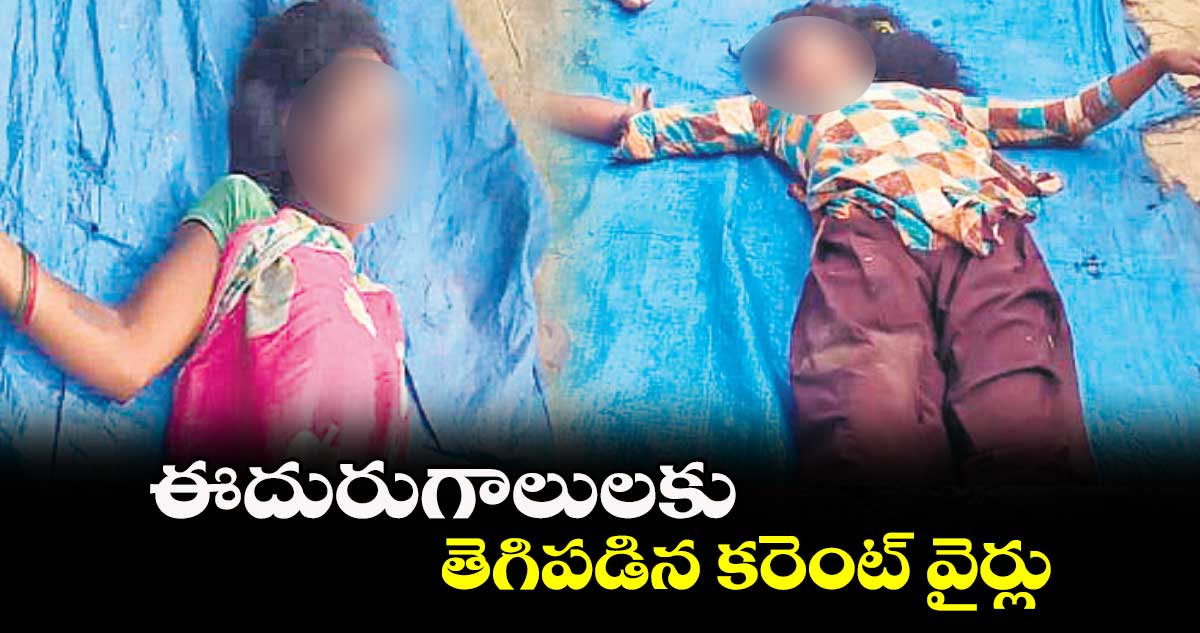 ఈదురుగాలులకు తెగిపడిన కరెంట్ వైర్లు
