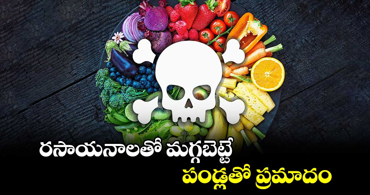 రసాయనాలతో మగ్గబెట్టే పండ్లతో ప్రమాదం