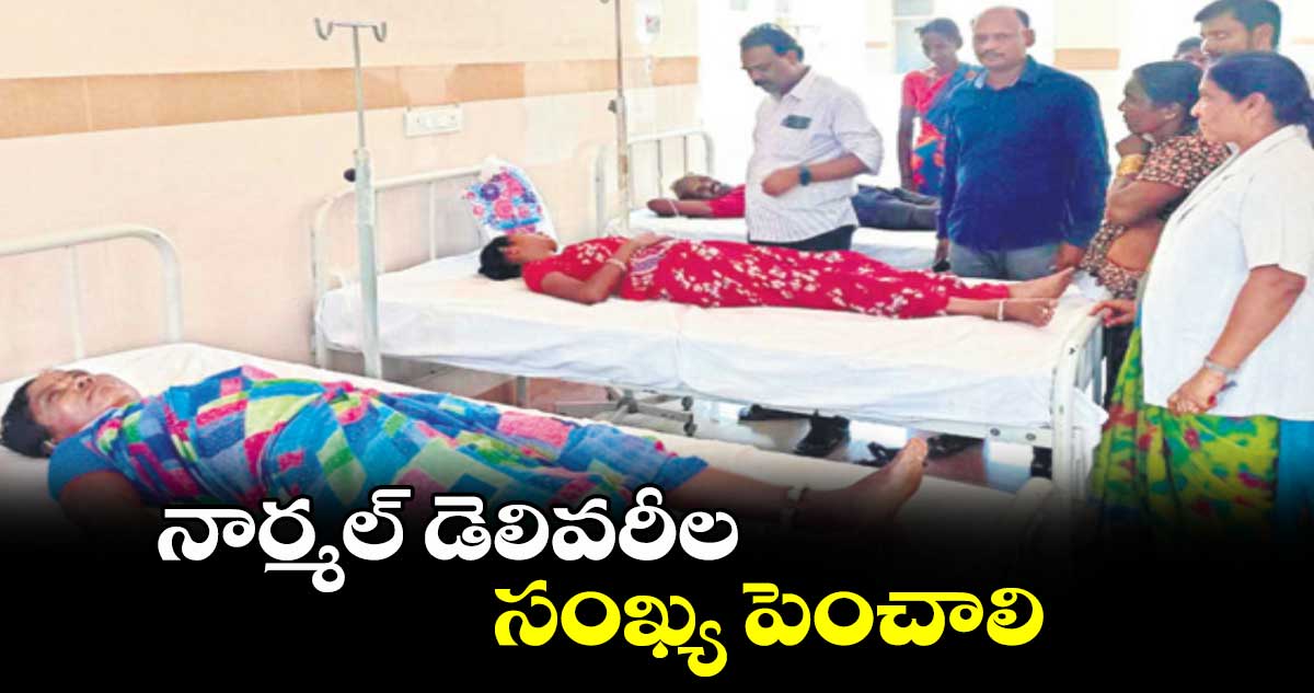 నార్మల్ డెలివరీల సంఖ్య పెంచాలి : రమేశ్​ చంద్ర 