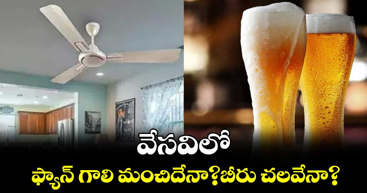 వేసవిలో ఫ్యాన్ గాలి మంచిదేనా?  బీరు చలవేనా?