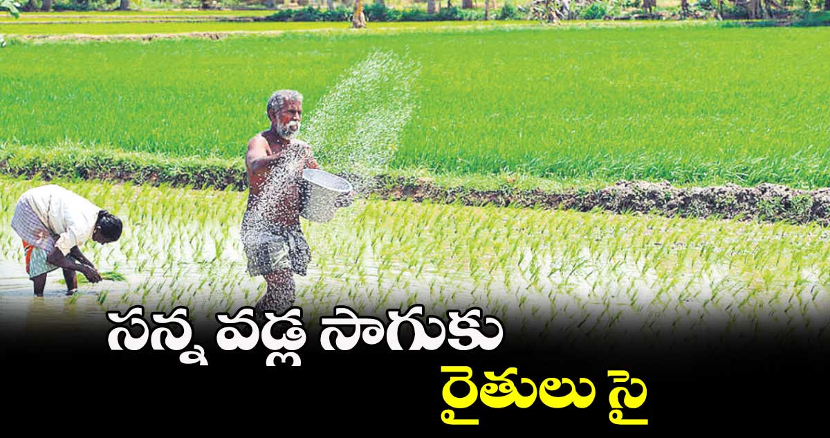 సన్న వడ్ల సాగుకు రైతులు సై