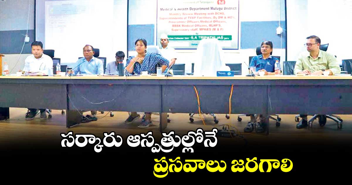 సర్కారు ఆస్పత్రుల్లోనే ప్రసవాలు జరగాలి