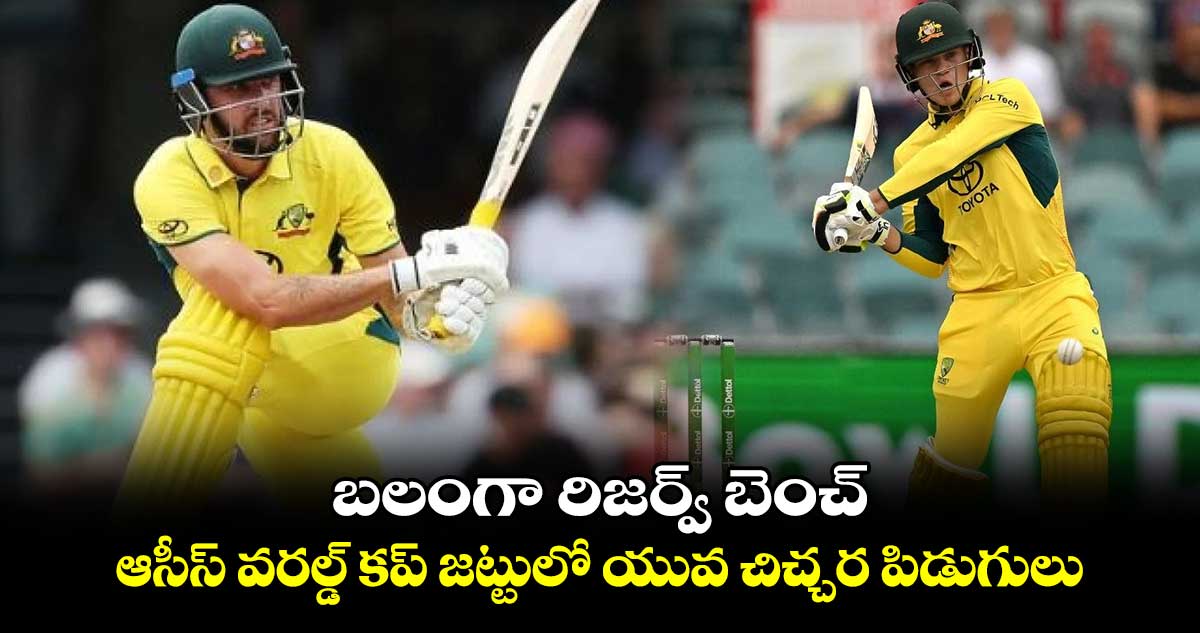 T20 World Cup 2024: బలంగా రిజర్వ్ బెంచ్.. ఆసీస్ వరల్డ్ కప్ జట్టులో యువ చిచ్చర పిడుగులు