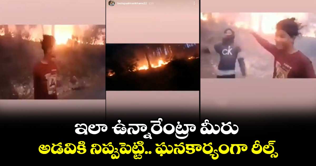 ఇలా ఉన్నారేంట్రా మీరు : అడవికి నిప్పుపెట్టి.. ఘనకార్యంగా రీల్స్