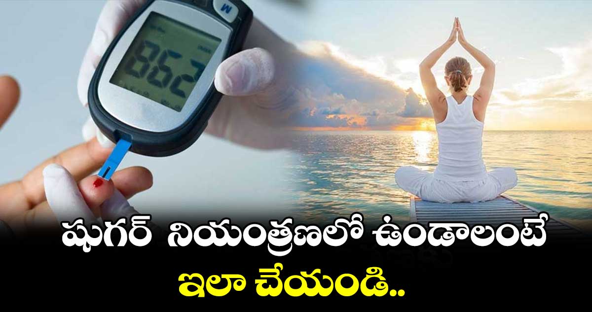 Good Health : షుగర్  నియంత్రణలో ఉండాలంటే ఇలా చేయండి..