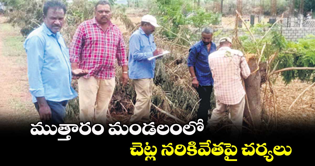  ముత్తారం మండలంలో చెట్ల నరికివేతపై చర్యలు 